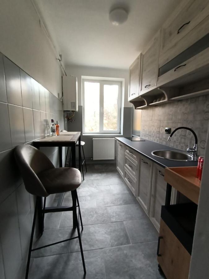 Vintage Gray Apartament براشوف المظهر الخارجي الصورة